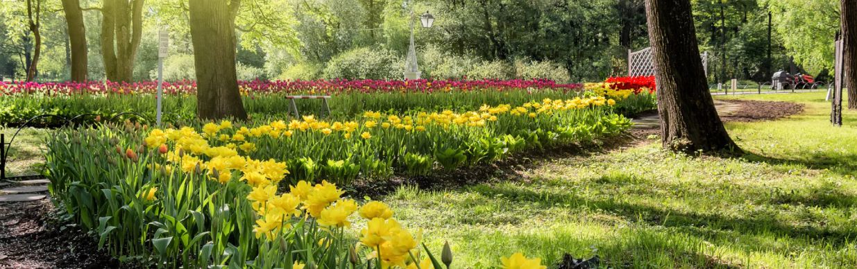 Asana Residence Foto 5